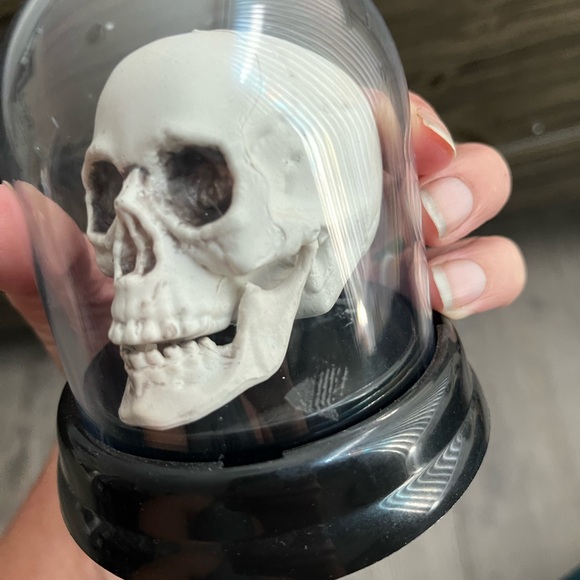 5 for $10 - skull in cloche - Picture 4 of 7